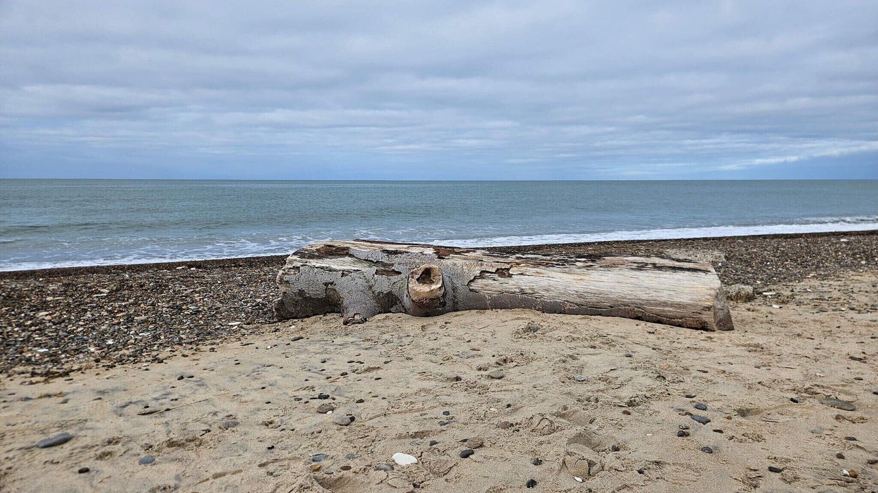 Photo of Others in Lild Strand