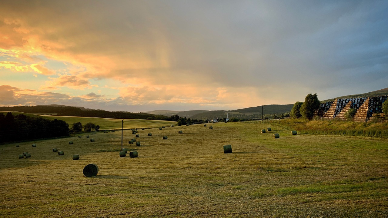 Photo of Outdoor in Aberlour