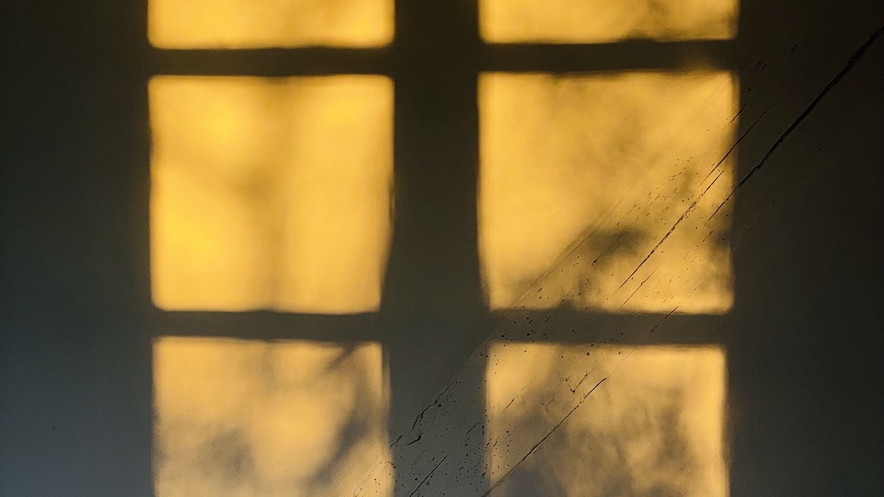 Photo of Others in Bethonvilliers