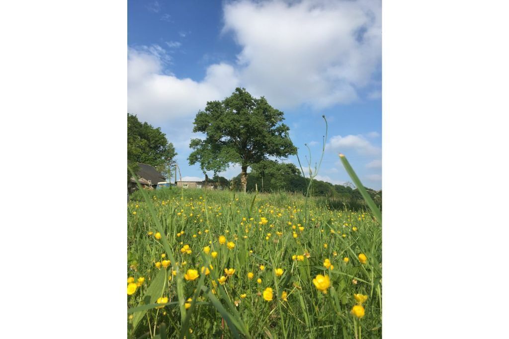 Photo of Outdoor in Marsac-sur-Don