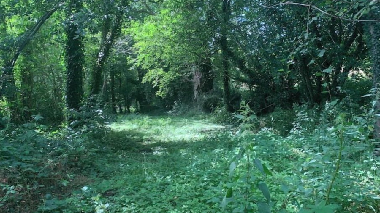 Photo of Outdoor in Marsac-sur-Don