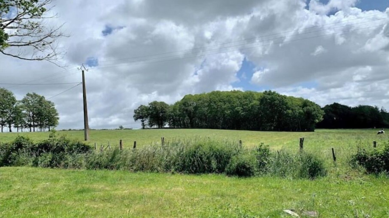 Photo of Outdoor in Marsac-sur-Don
