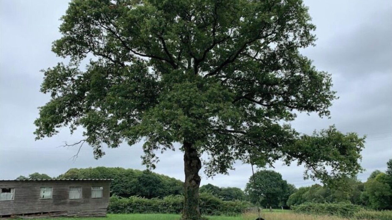 Photo of Others in Marsac-sur-Don