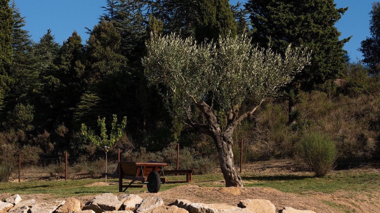 Photo of Outdoor in Pomas