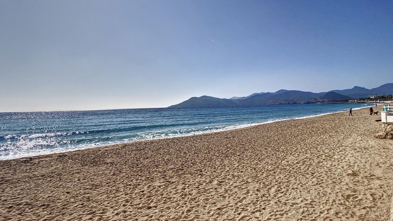 Photo of Others in La Bocca