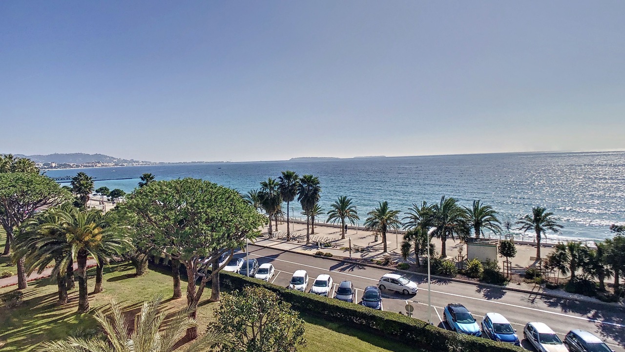 Photo of Others in La Bocca