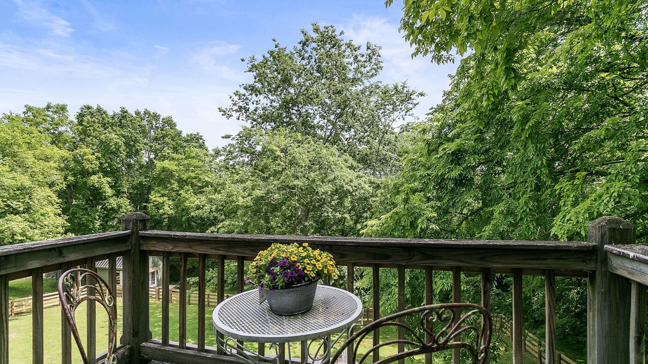 Photo of Outdoor in Leipers Fork