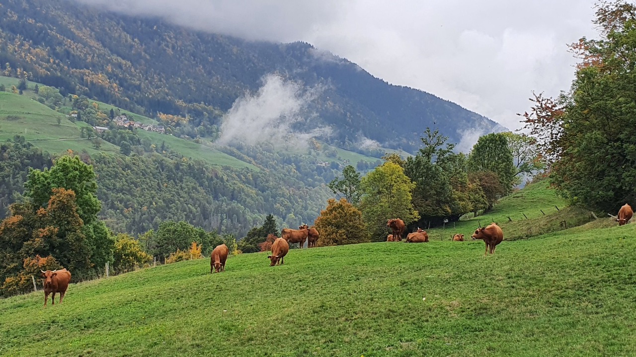 Photo of Outdoor in Saint-Pierre-d'Entremont
