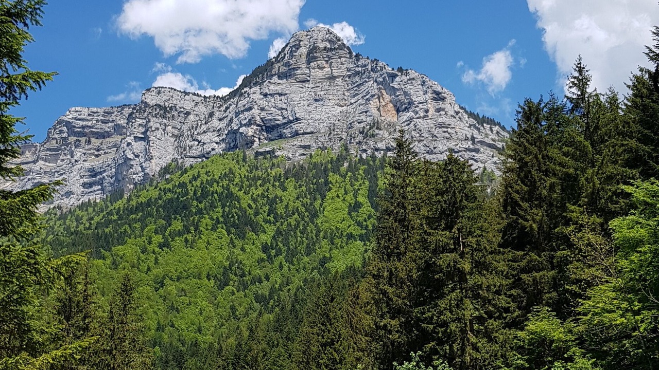 Photo of Outdoor in Saint-Pierre-d'Entremont