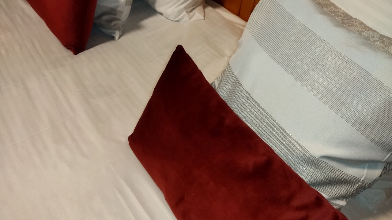 Photo of Bedroom in Marthod