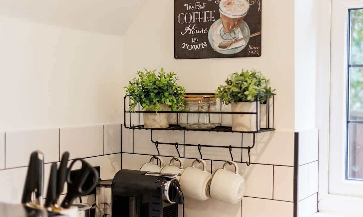 Photo of Others in Corfe Castle