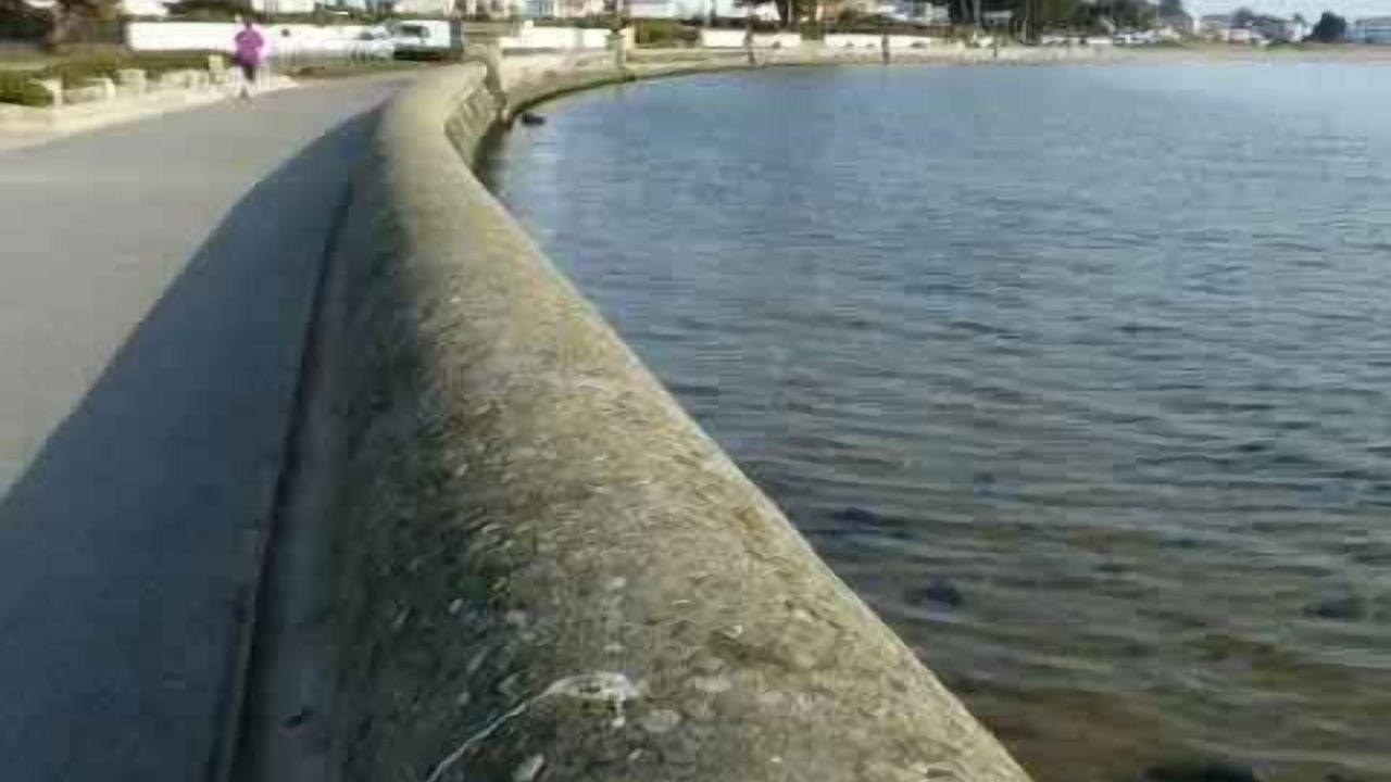 Photo of Others in Corfe Castle