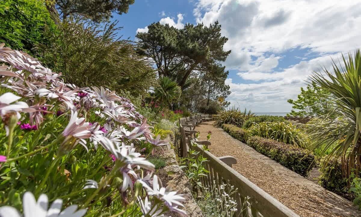 Photo of Outdoor in Corfe Castle