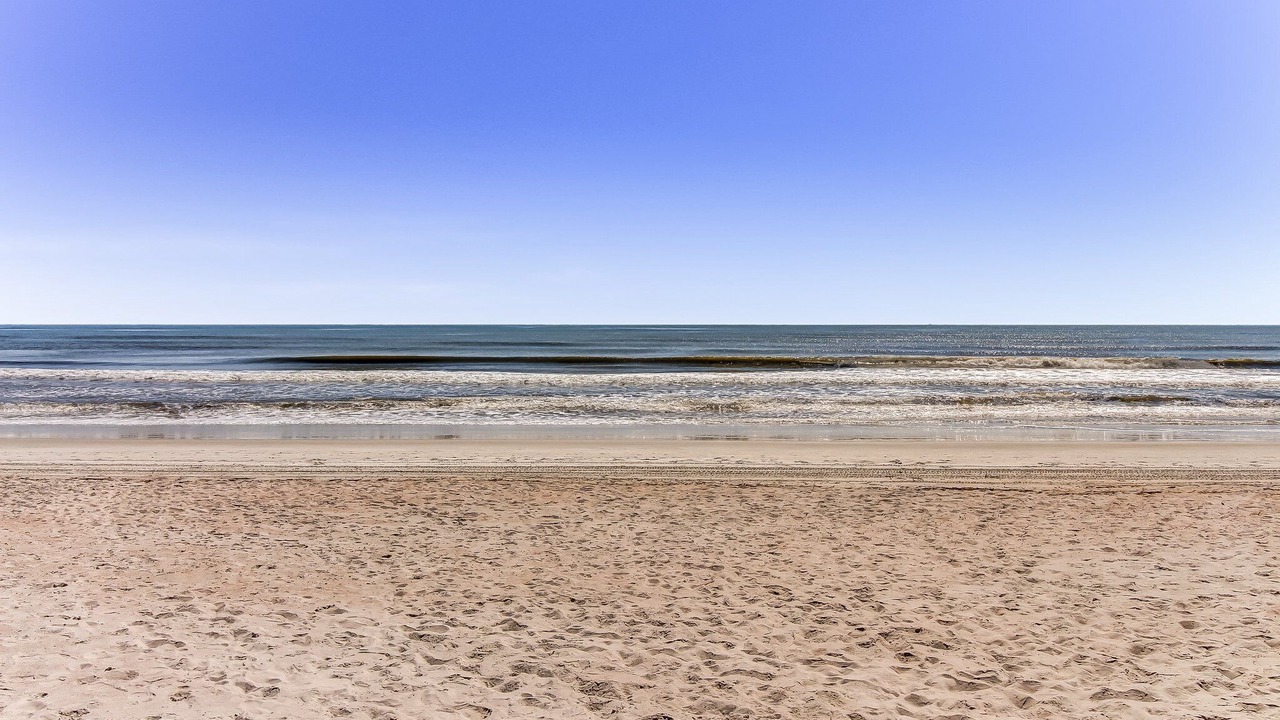 Photo of Others in Amelia City