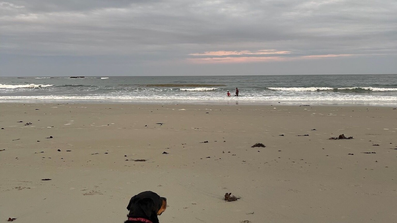 Photo of Others in Wells Beach