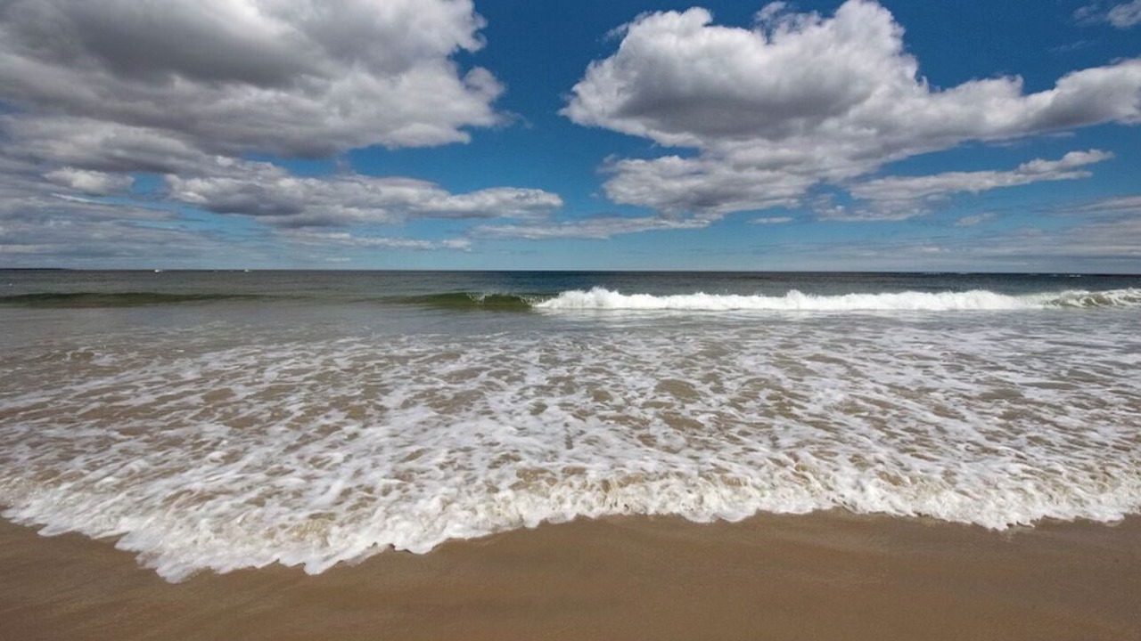 Photo of Others in Wells Beach