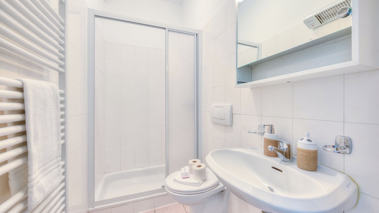 Photo of Bathroom in Mendrisio