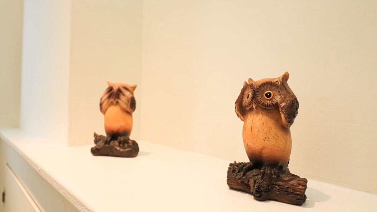 Photo of Others in Stubbins