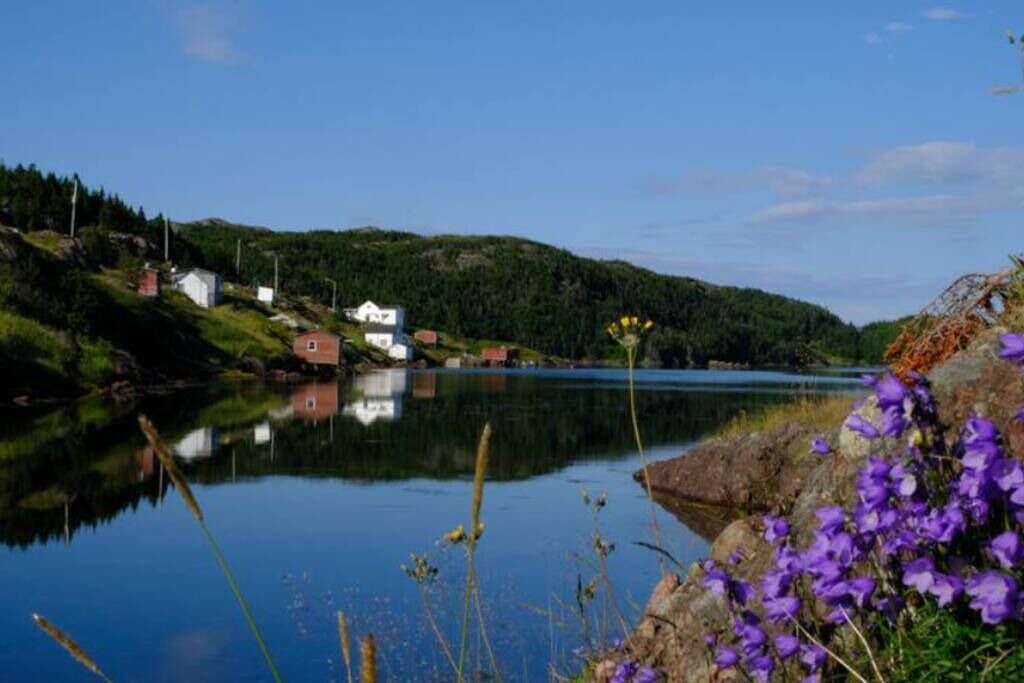 Photo of Others in Fogo