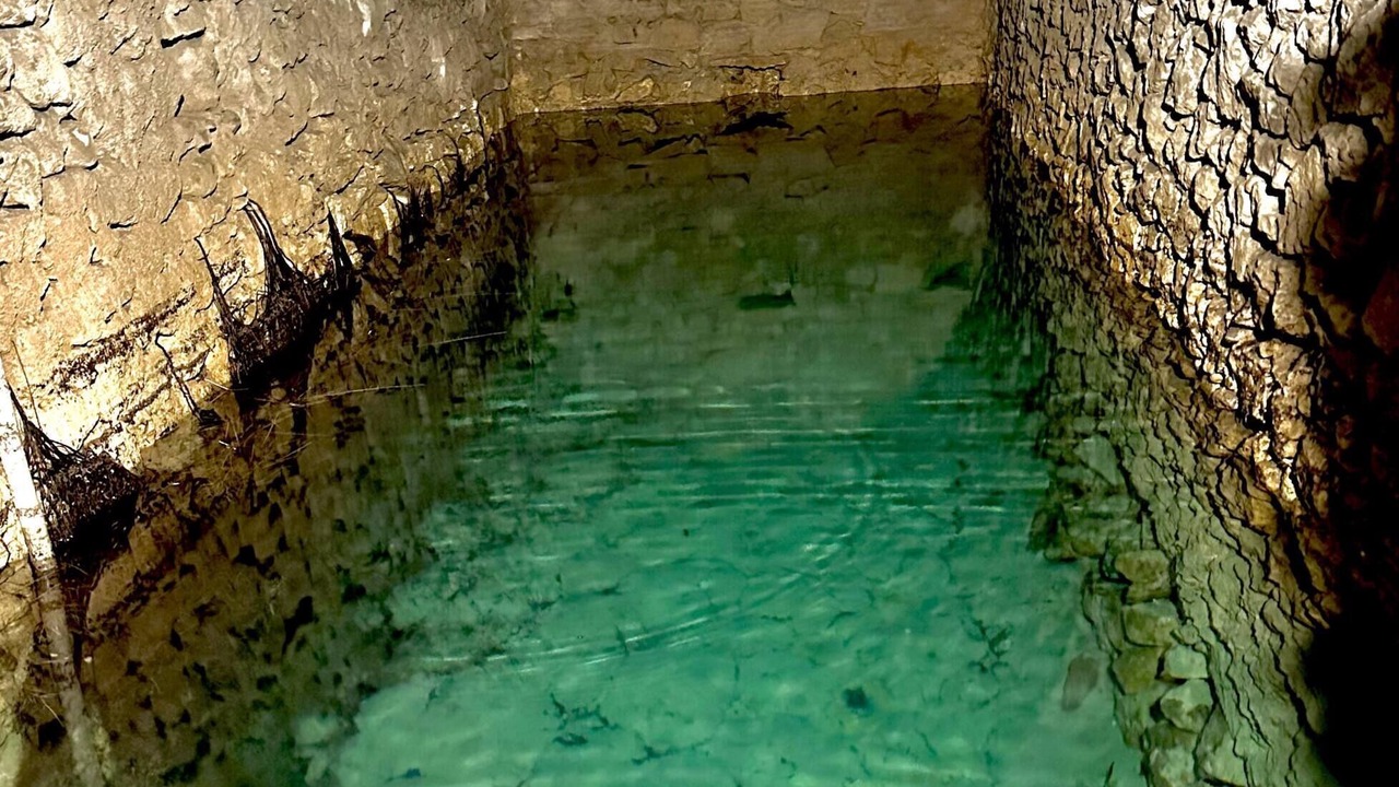 Photo of Others in Pont-Saint-Esprit