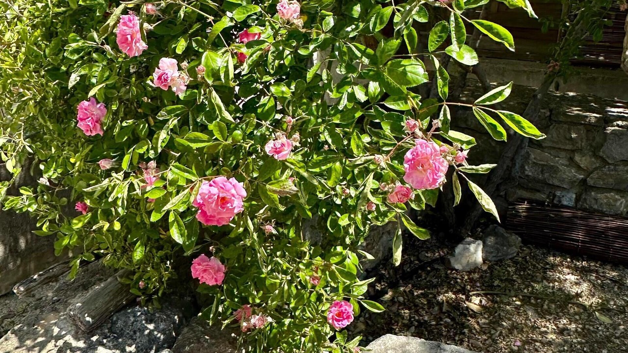 Photo of Outdoor in Pont-Saint-Esprit