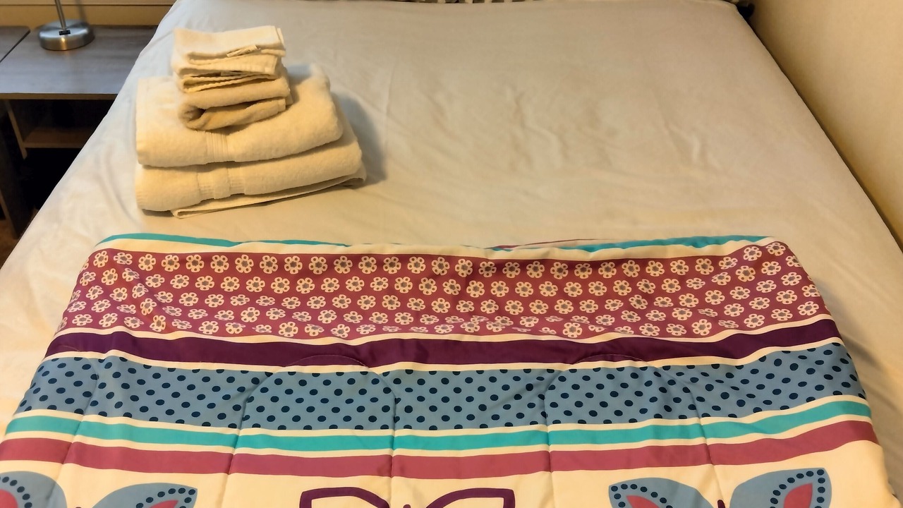 Photo of Bedroom in Apex