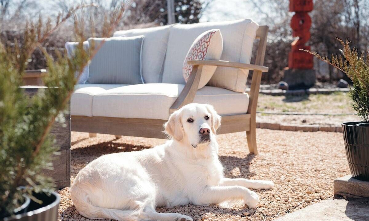 Photo of Outdoor in Bentonville