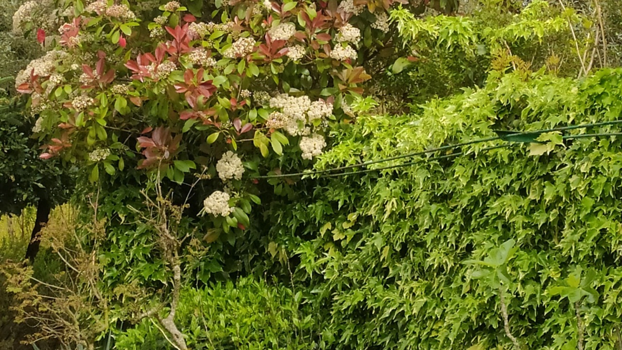 Photo of Outdoor in Vallgorguina