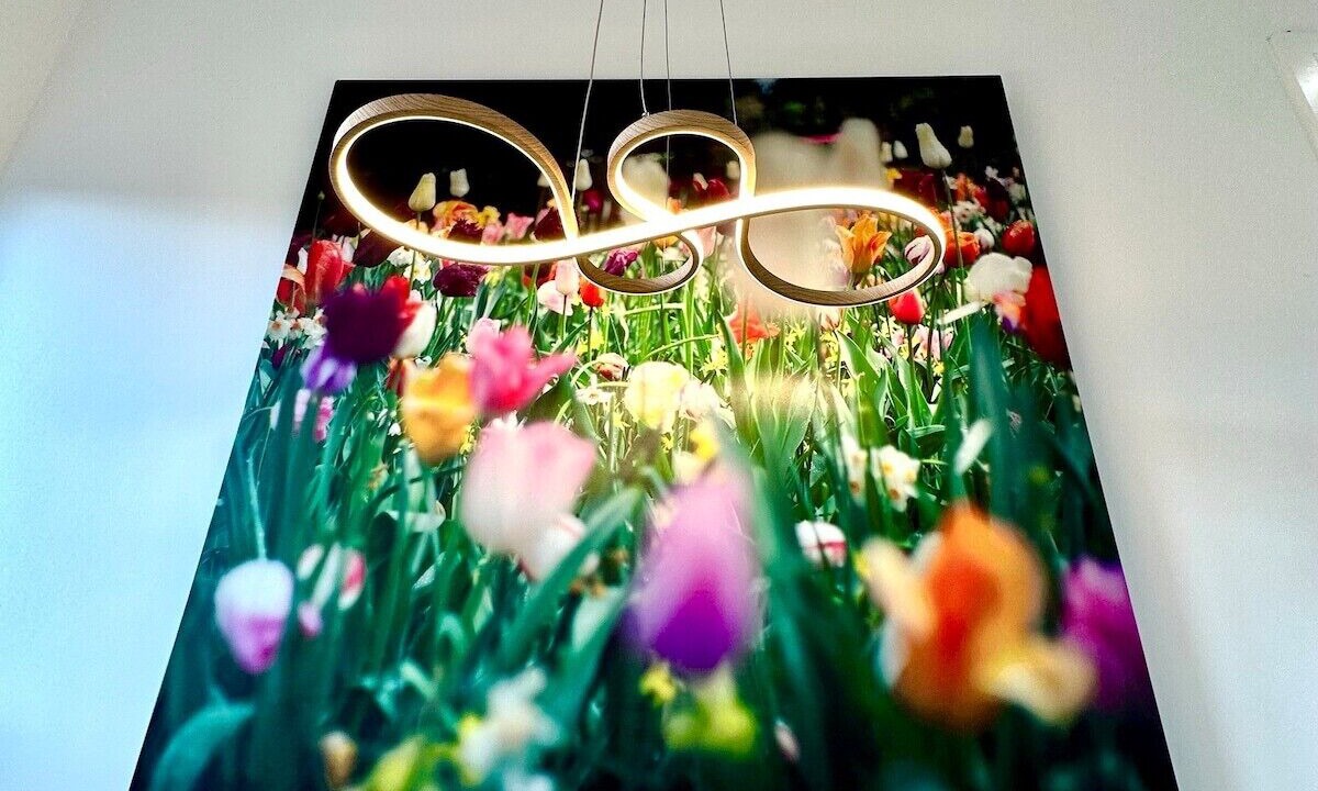 Photo of Others in Winton