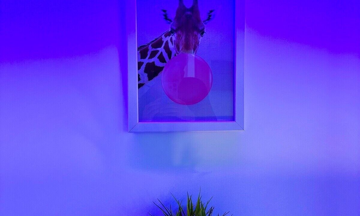 Photo of Others in Winton