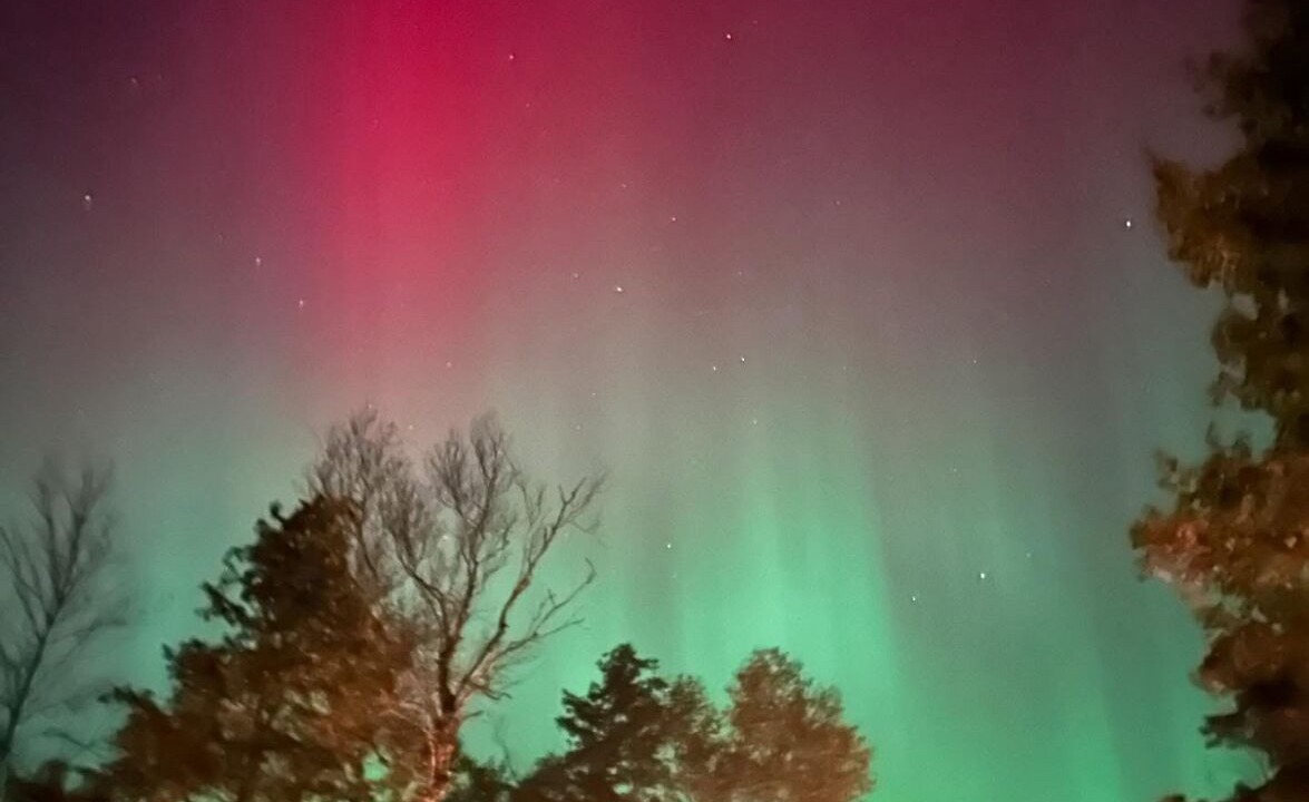 Photo of Others in Fenelon Falls