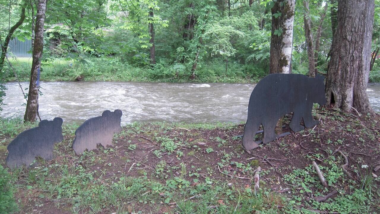 Photo of Outdoor in Cosby