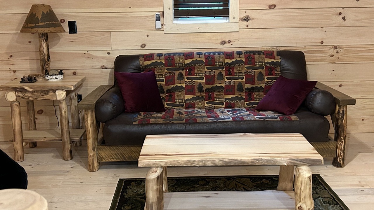 Photo of Livingroom in Mannsville