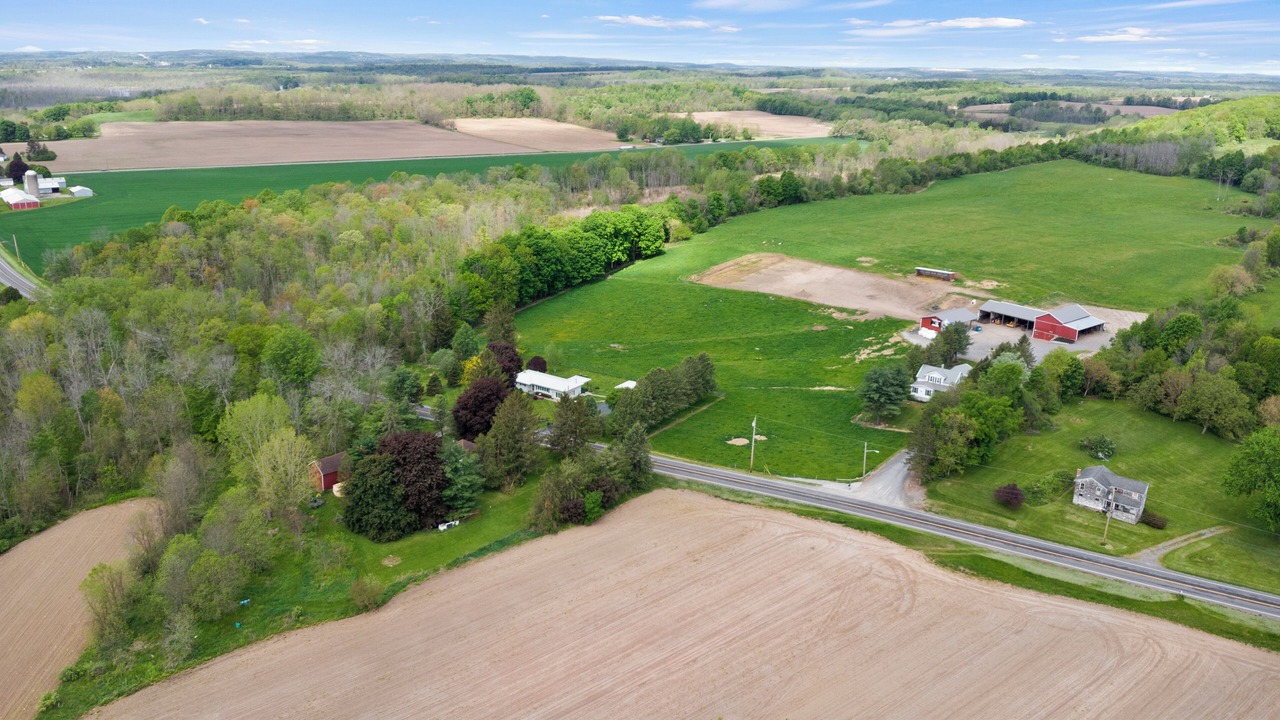 Photo of Outdoor in Palmyra