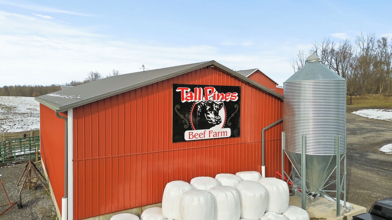 Photo of Outdoor in Palmyra