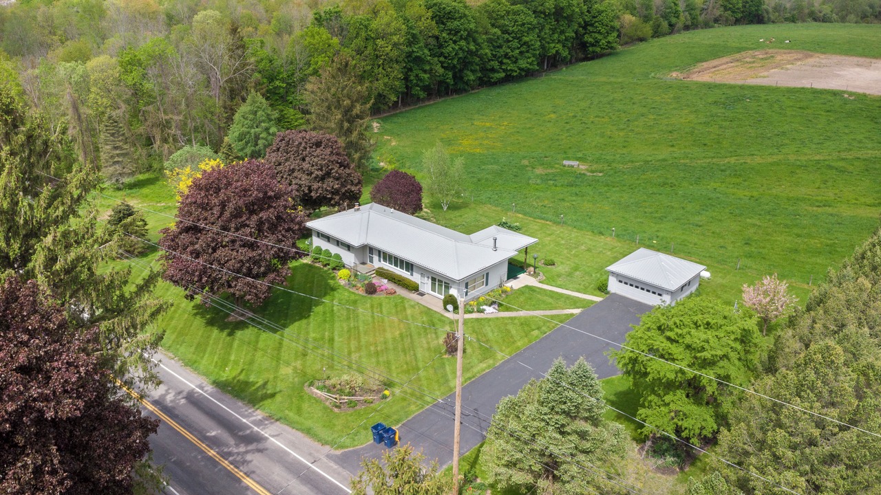 Photo of Outdoor in Palmyra