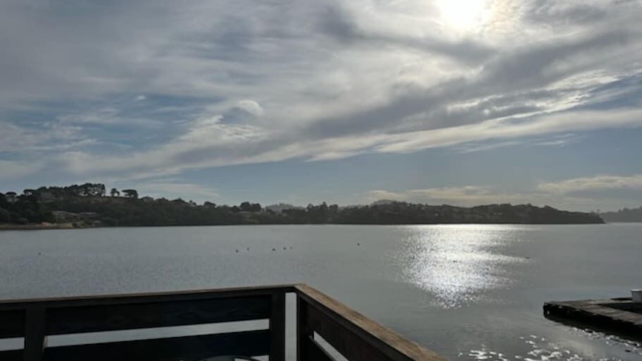 Photo of Outdoor in Mill Valley