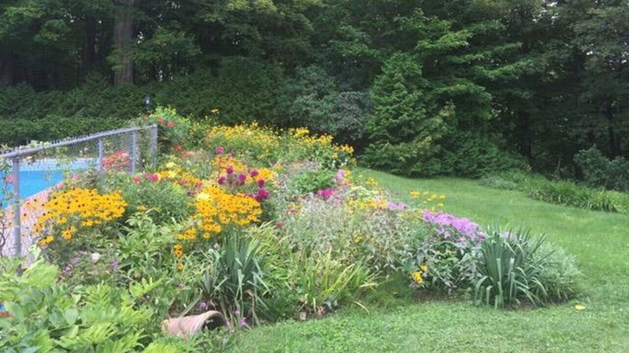 Photo of Others in Whippleville