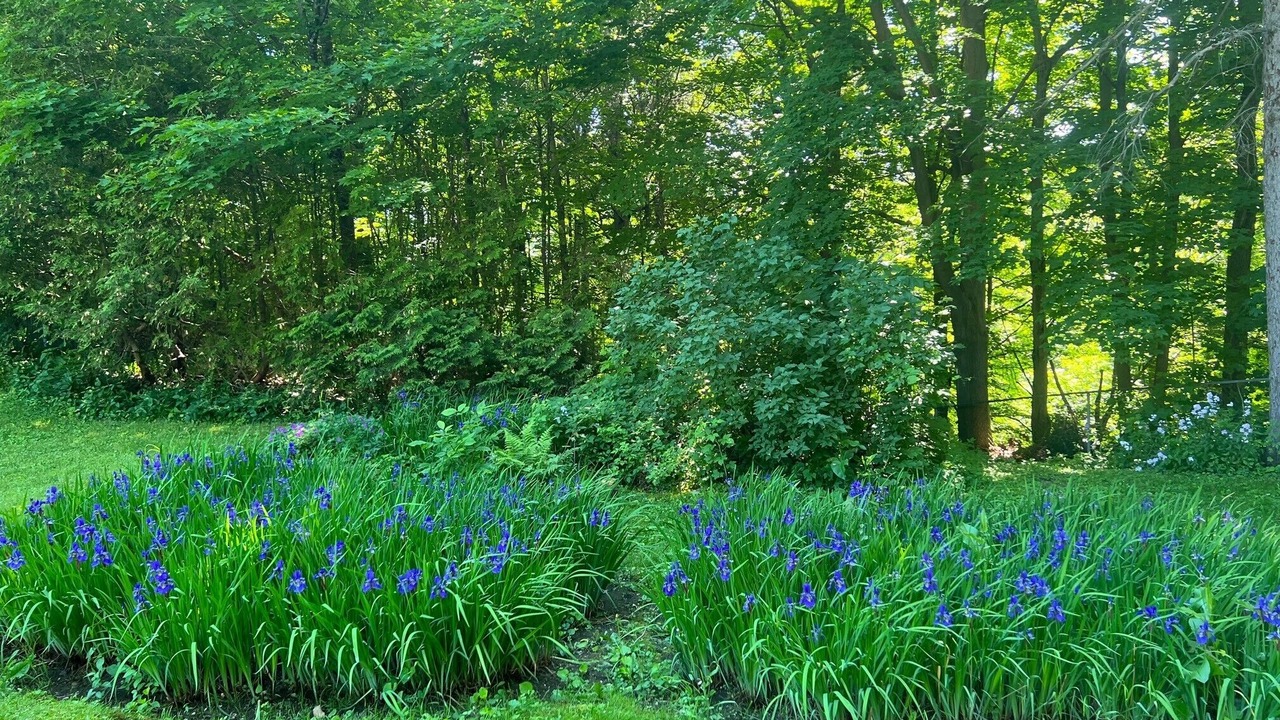 Photo of Outdoor in Whippleville