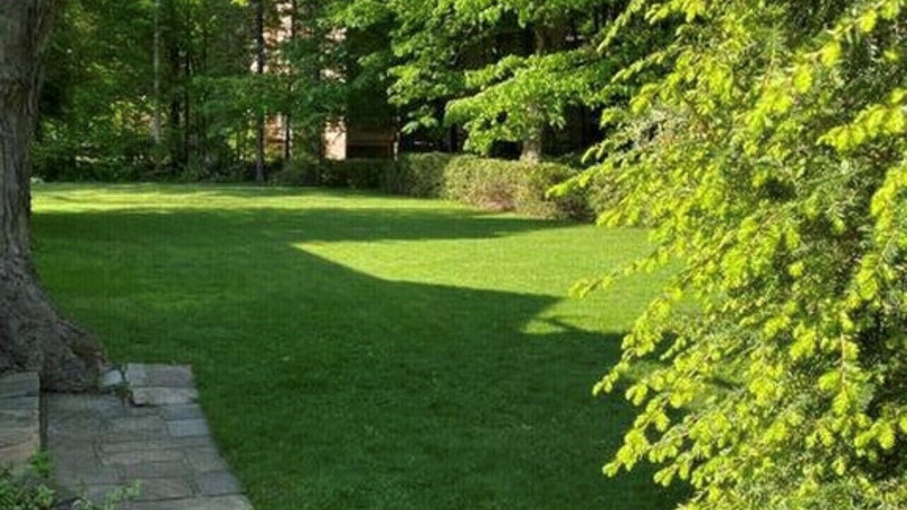 Photo of Others in Whippleville