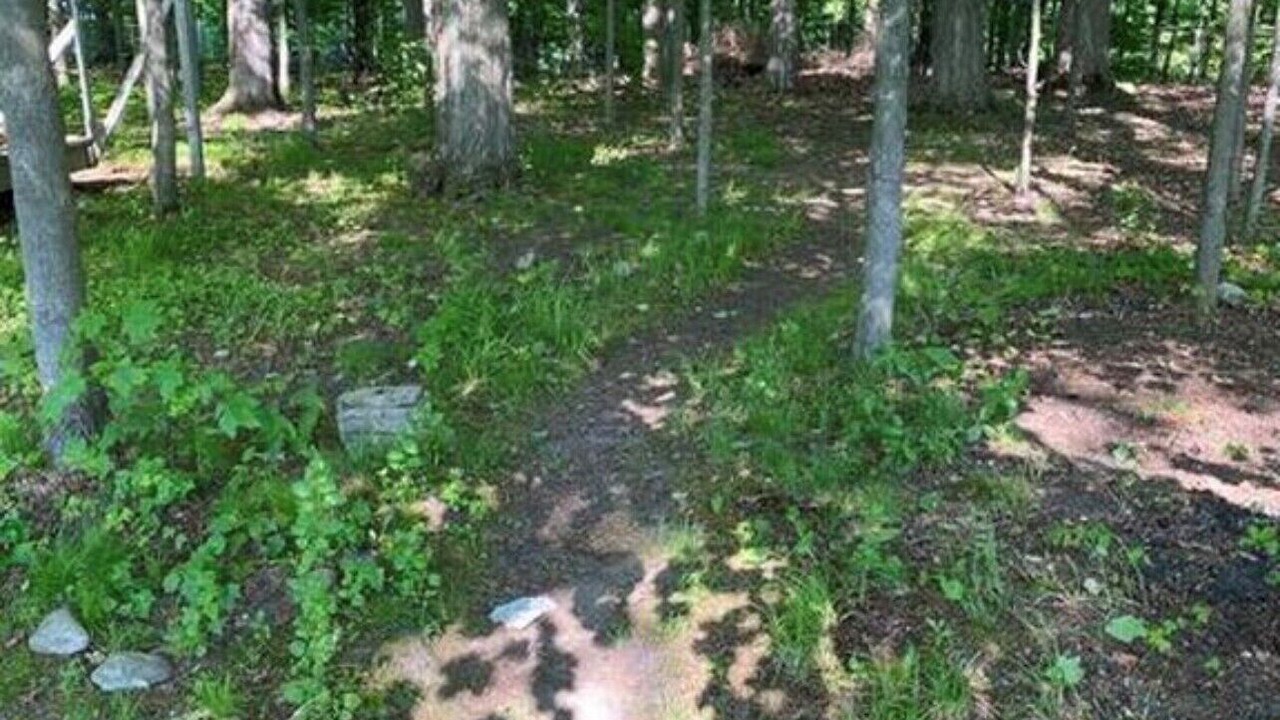 Photo of Others in Whippleville