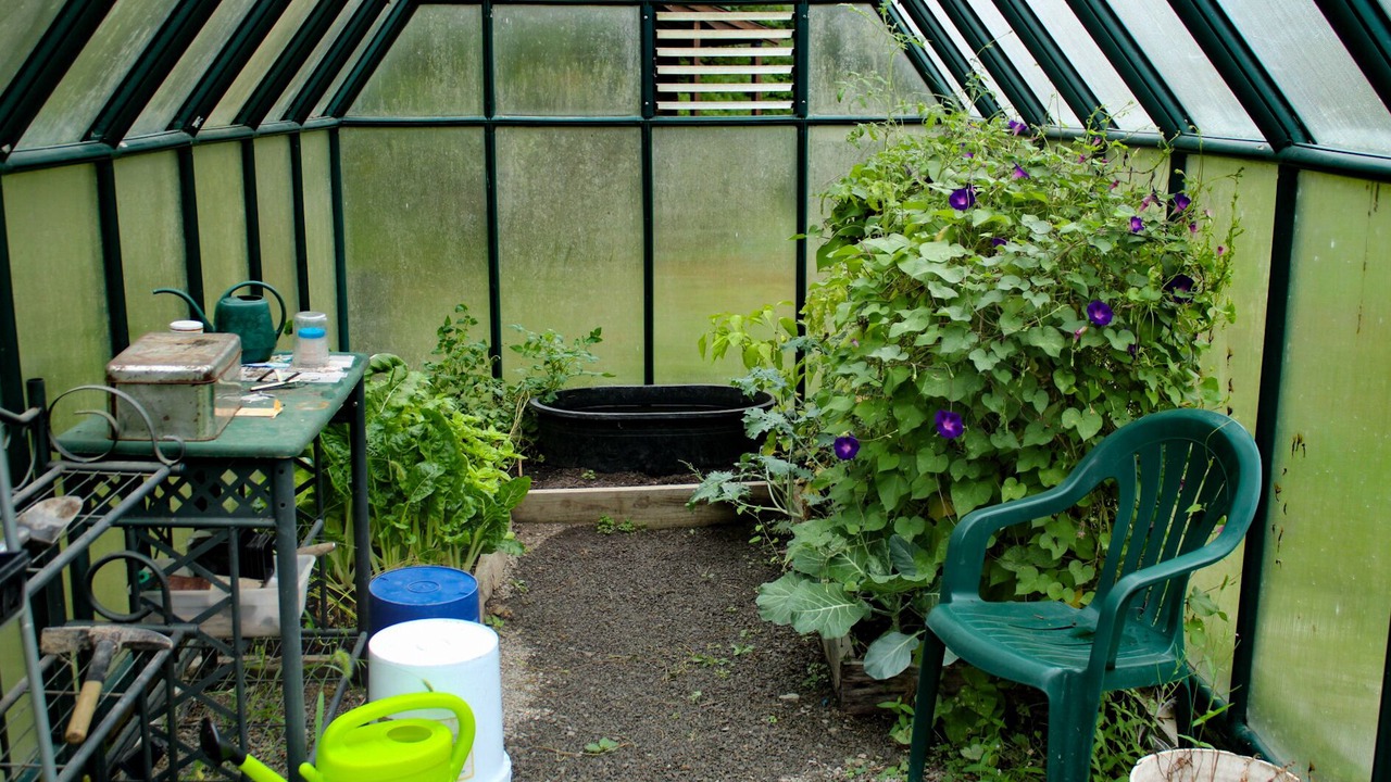 Photo of Others in Etna