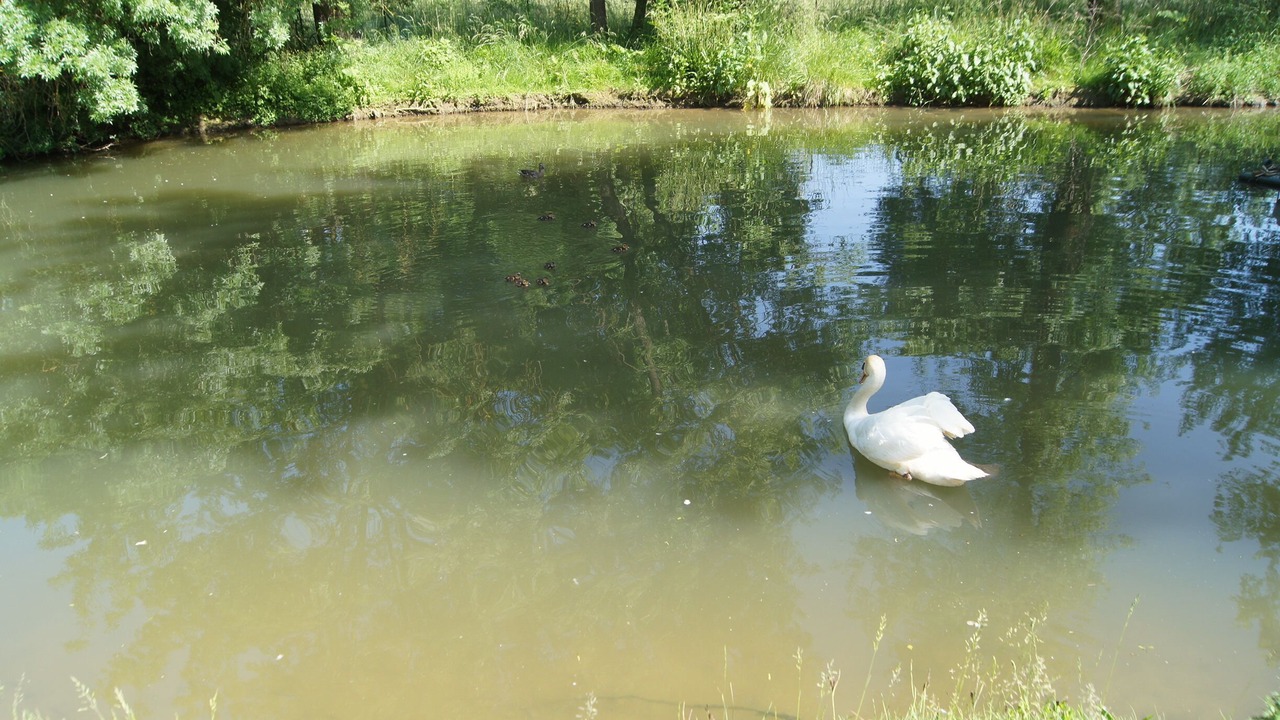 Photo of Outdoor in La Grand-Chile