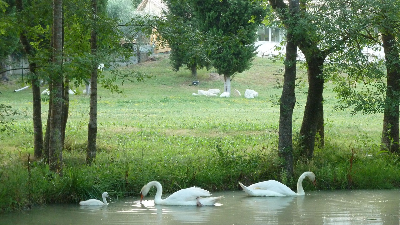Photo of Outdoor in La Grand-Chile