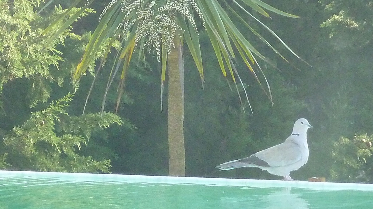 Photo of Outdoor in La Grand-Chile