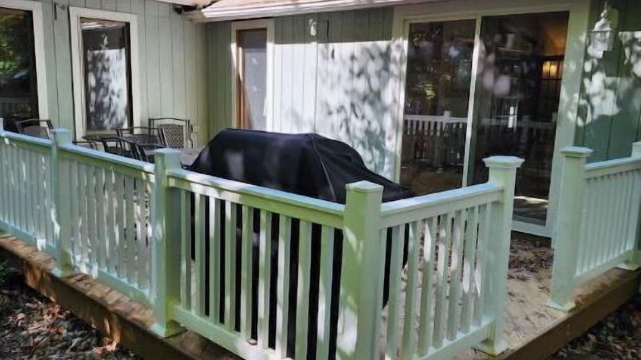 Photo of Patio Balcony in Thornhurst