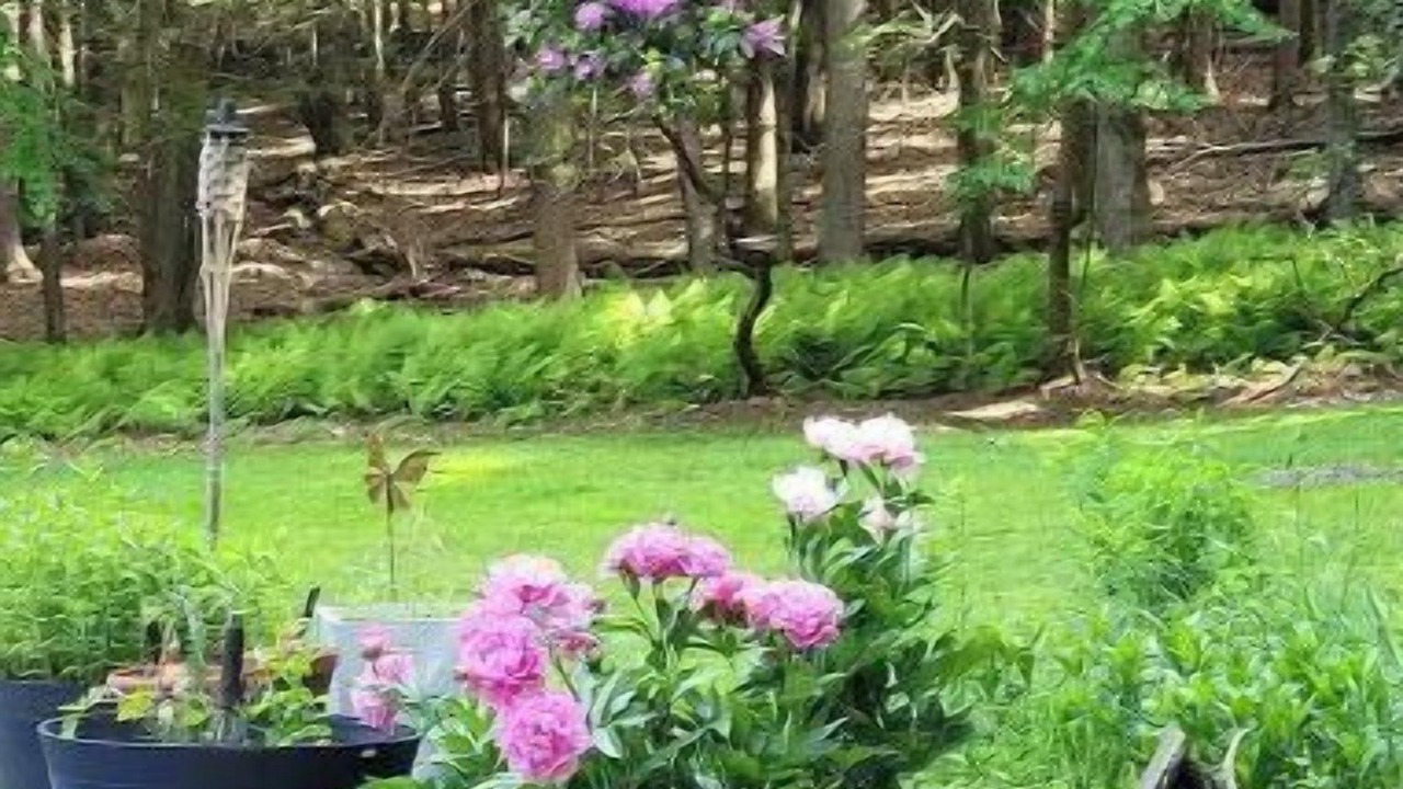 Photo of Outdoor in Kerhonkson