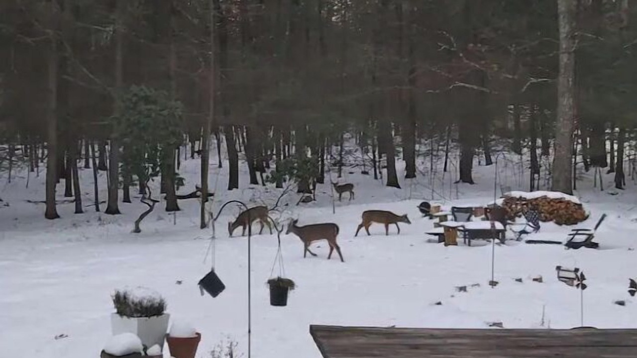 Photo of Outdoor in Kerhonkson