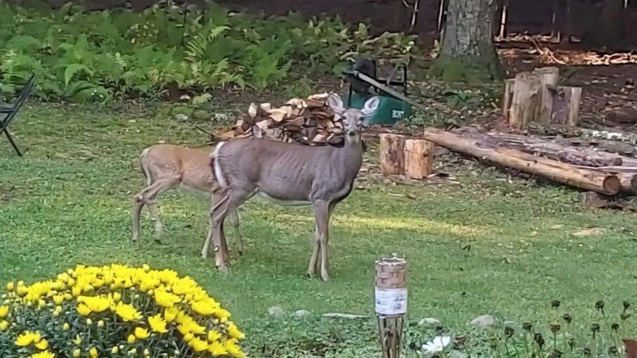 Photo of Outdoor in Kerhonkson