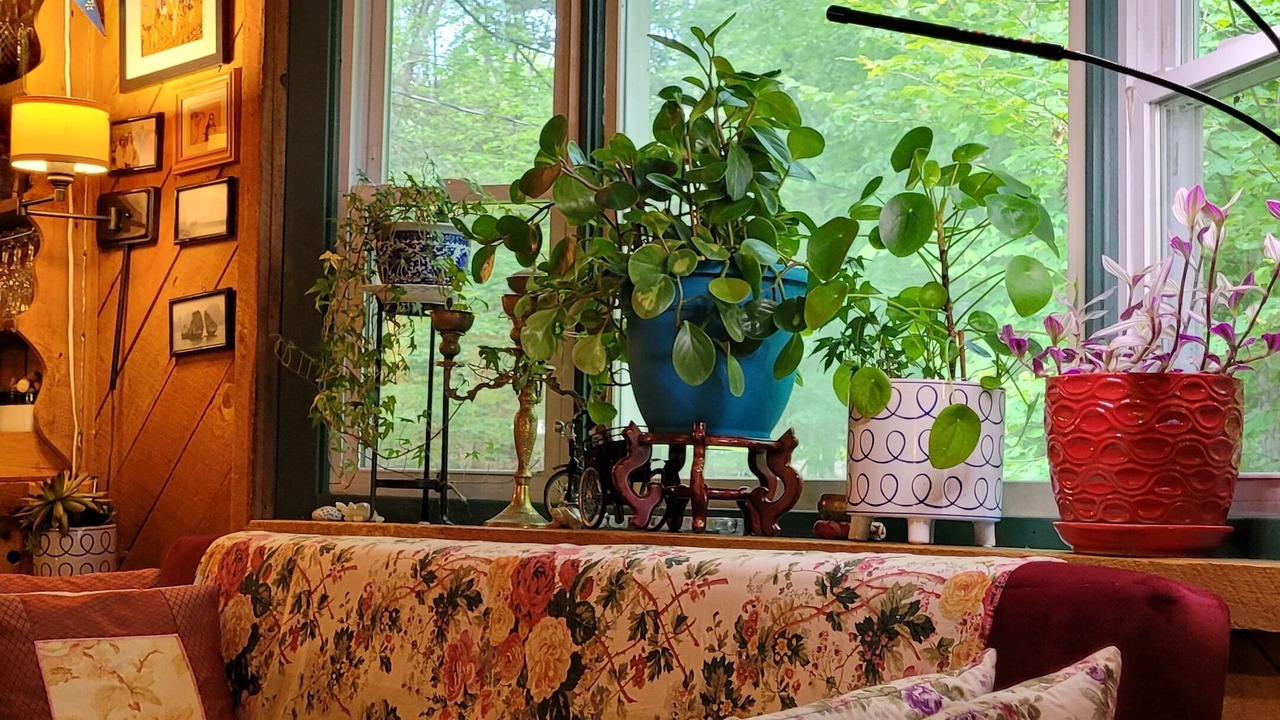 Photo of Others in Kerhonkson